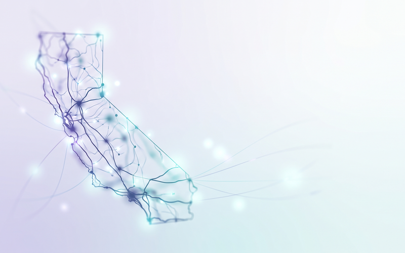 The State of California's Nursing-Home Survey, in 53,837 Citations